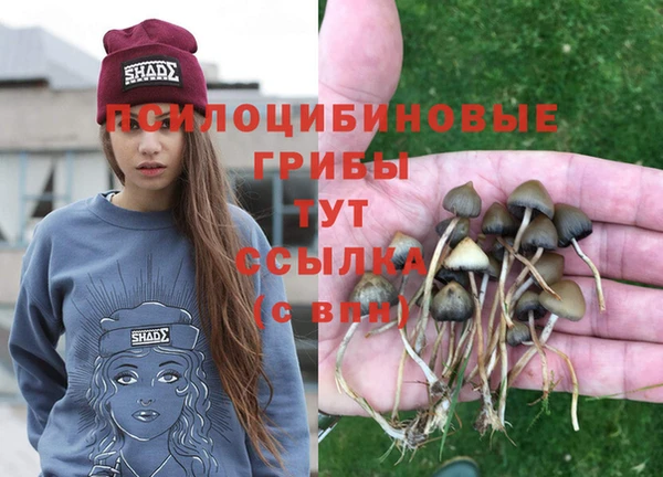крисы Абинск