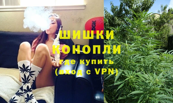 ПСИЛОЦИБИНОВЫЕ ГРИБЫ Абаза
