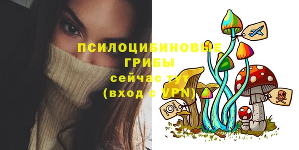 ПСИЛОЦИБИНОВЫЕ ГРИБЫ Абаза