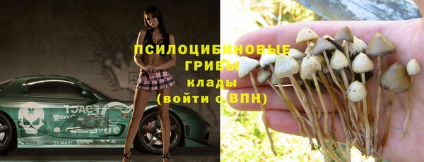 крисы Абинск