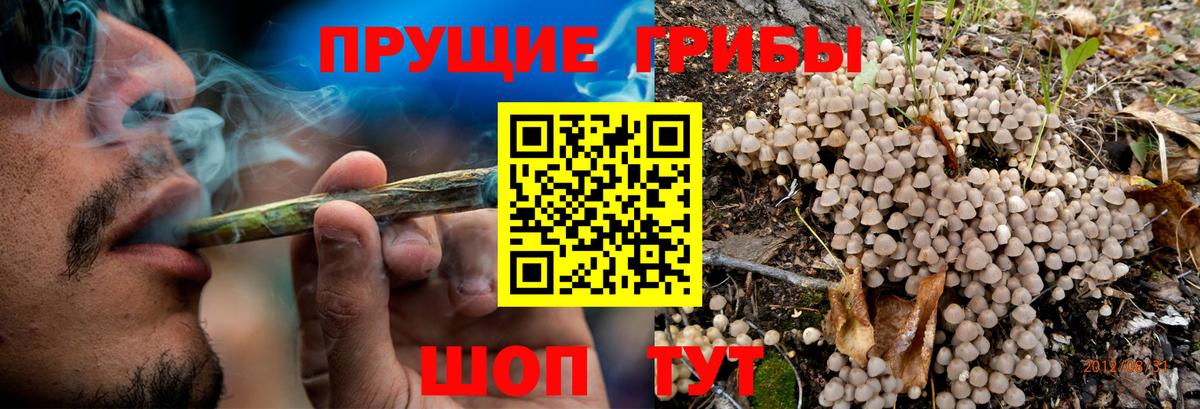 Галлюциногенные грибы Magic Shrooms Бугуруслан